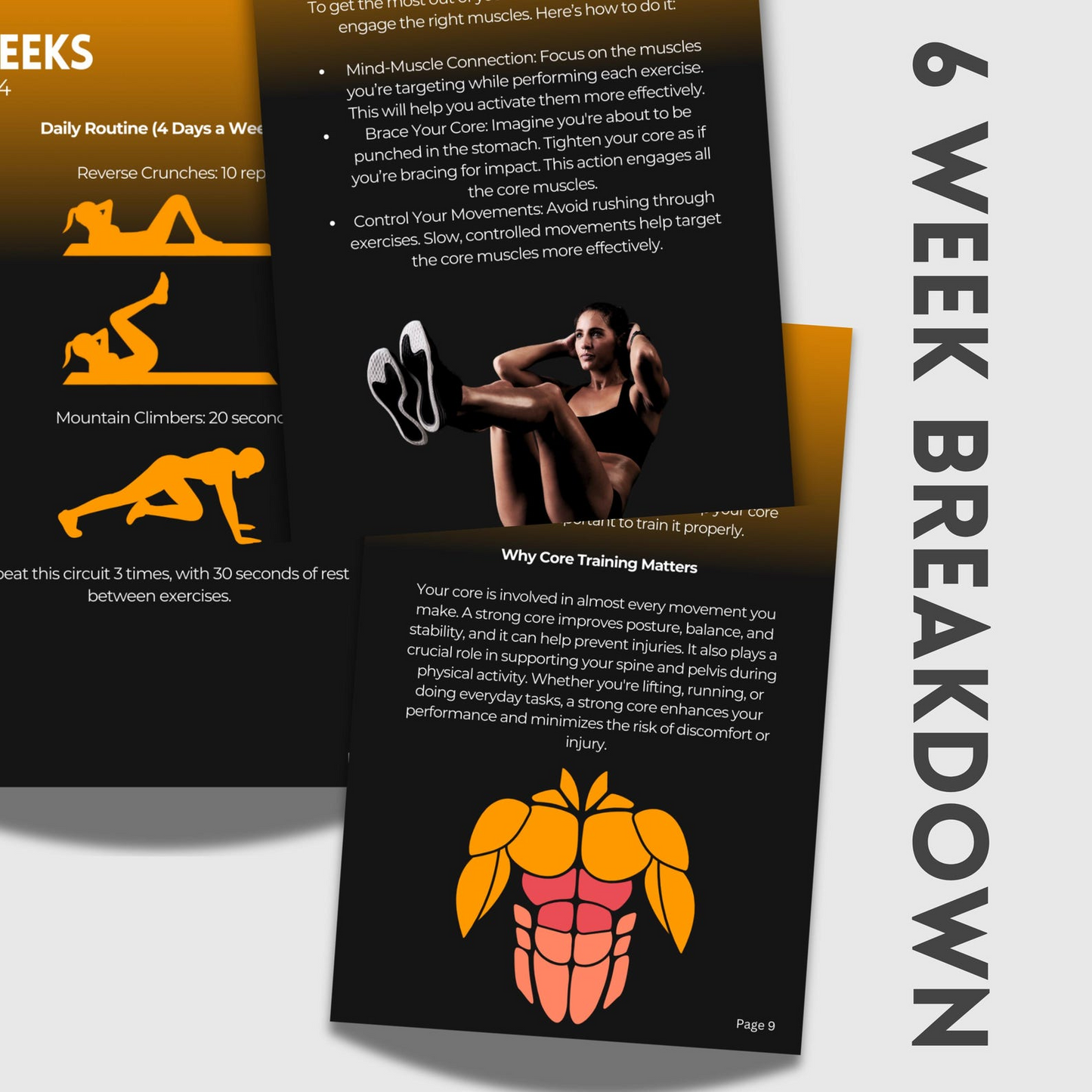 The 6 Week Core & Abs Sculptor