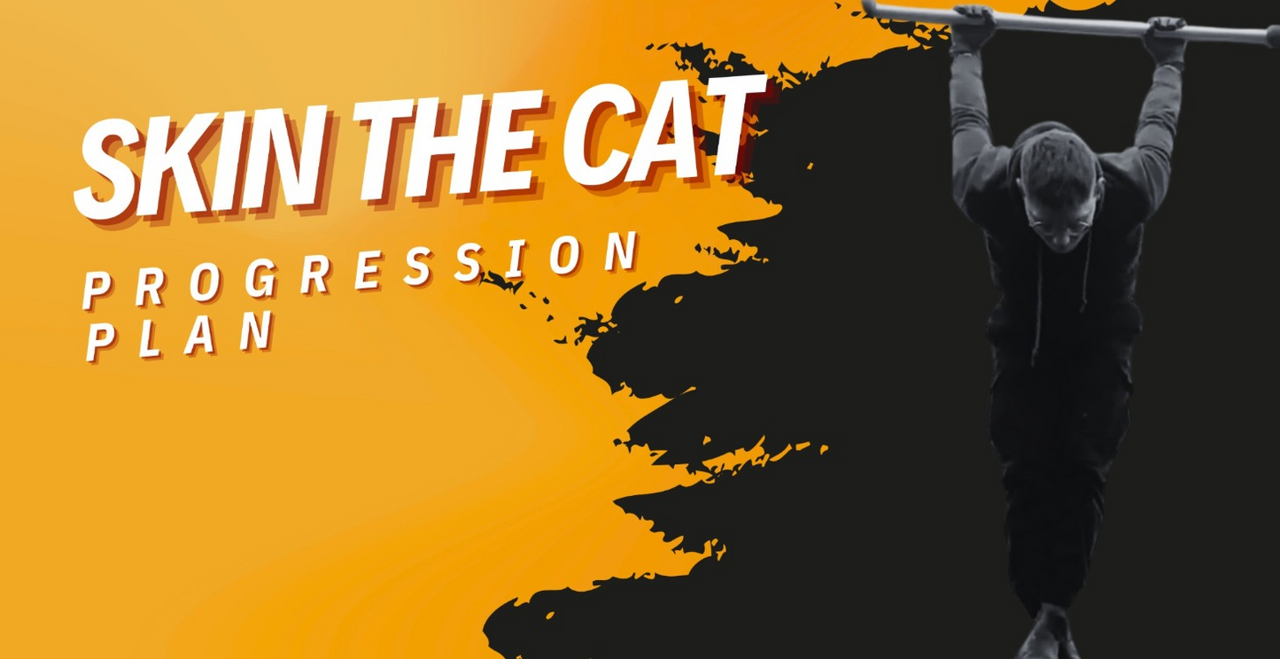 Skin the Cat Progression Plan