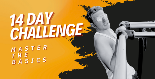 14 Day Calisthenics Challenge Push Up and Pull Up Starter