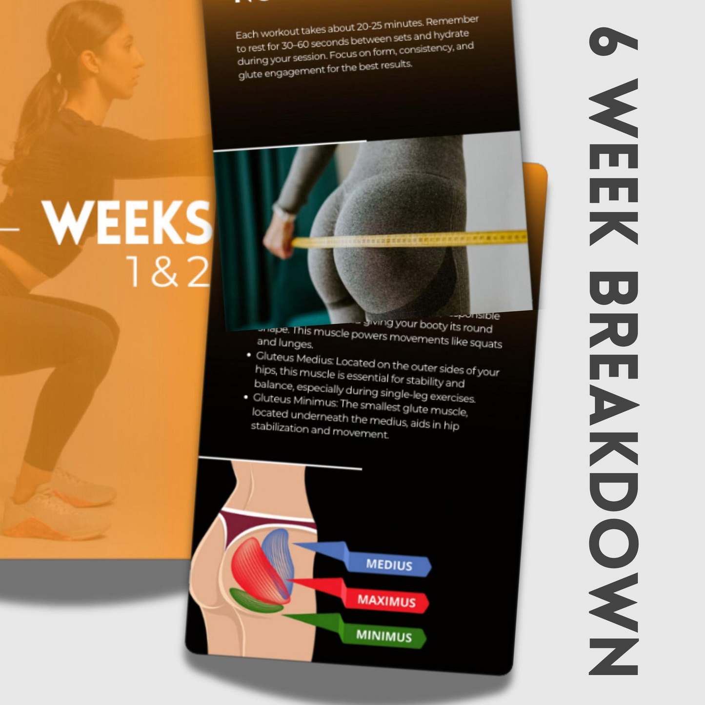 The 6 Week Booty Builder