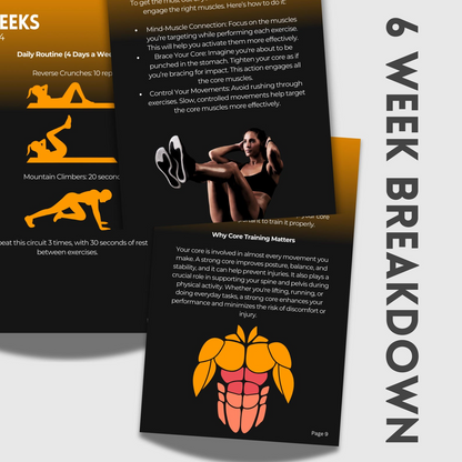 The 6 Week Core & Abs Sculptor