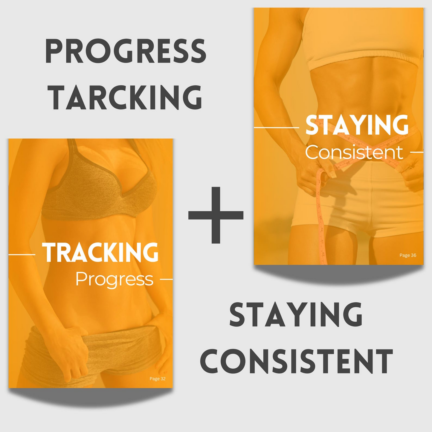 The 6 Week Core & Abs Sculptor