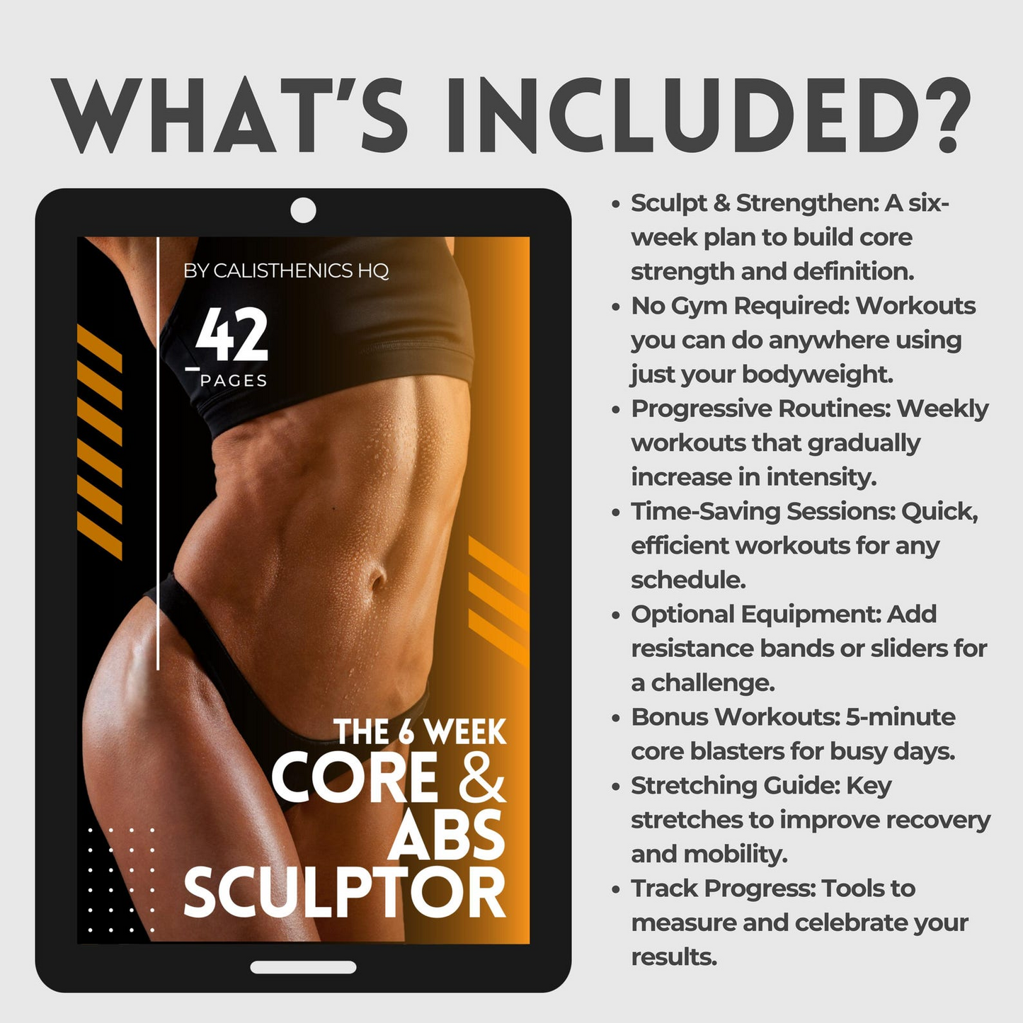 The 6 Week Core & Abs Sculptor