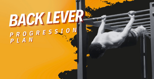Back Lever Progression Plan